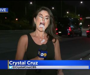 Pretty Newscaster Chicks Cum Faked